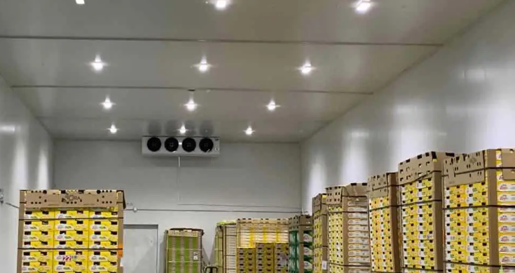 水果保鮮庫防潮防水層設置 水果保鮮庫防潮防水層設置