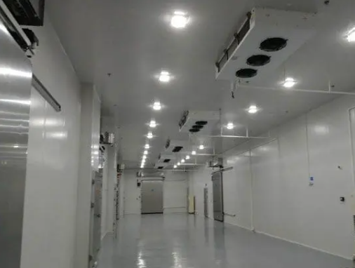 如何選擇一家好的冷庫(kù)公司?從以下三點(diǎn)看! 如何選擇一家好的冷庫(kù)公司?從以下三點(diǎn)看!