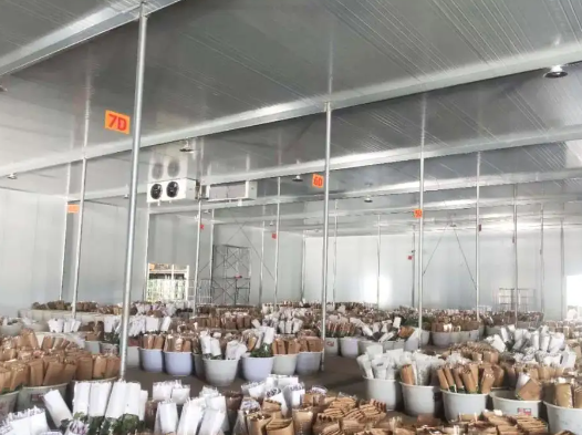 南京鮮花保鮮冷庫 南京鮮花保鮮冷庫