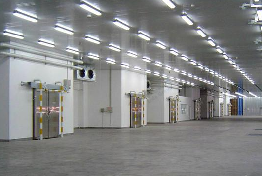 保鮮冷庫(kù) 保鮮冷庫(kù)