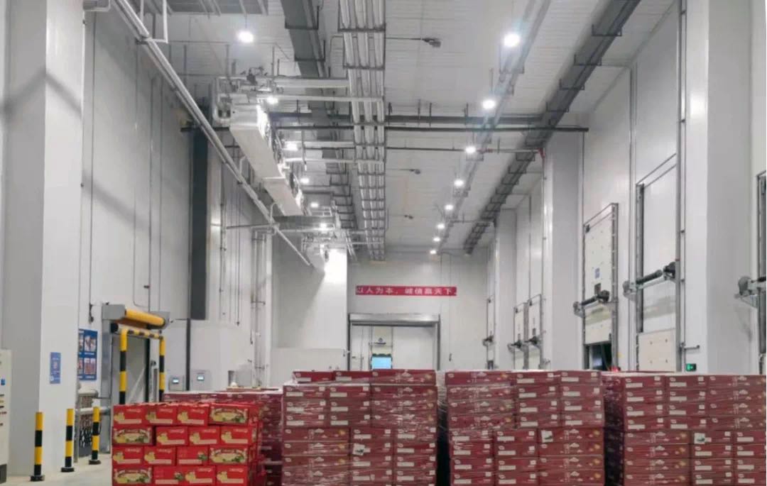 果蔬冷庫(kù) 果蔬冷庫(kù)