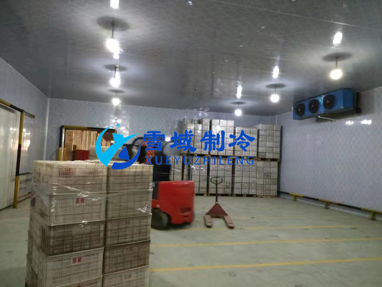 南京某水果公司水果冷庫現場圖片 南京某水果公司水果冷庫現場圖片