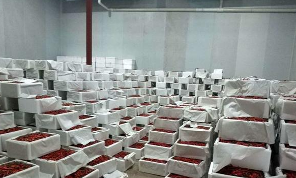 南京辣椒冷庫保鮮用什么技術方法 南京辣椒冷庫保鮮用什么技術方法