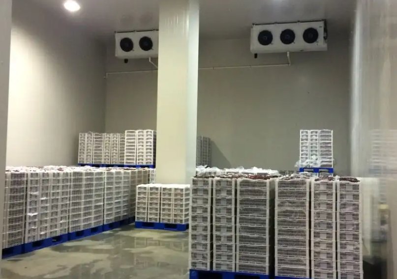 冷庫設計 冷庫設計