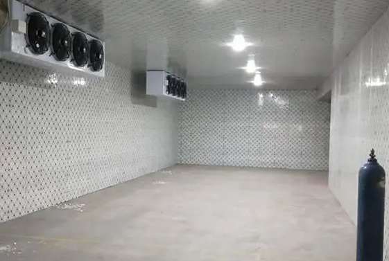 藤椒冷庫安裝 藤椒冷庫安裝