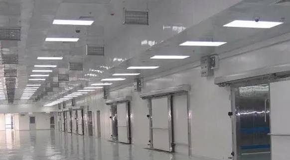 建造安裝一個200㎡的冷凍庫需要多少錢 建造安裝一個200㎡的冷凍庫需要多少錢