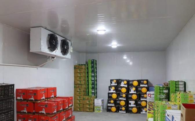 果蔬冷庫工程建造項(xiàng)目解決方案 果蔬冷庫工程建造項(xiàng)目解決方案