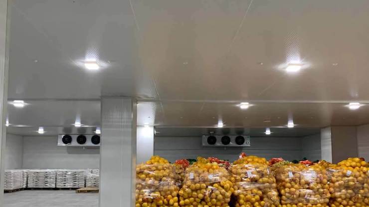 果蔬冷庫工程建造項(xiàng)目解決方案 果蔬冷庫工程建造項(xiàng)目解決方案