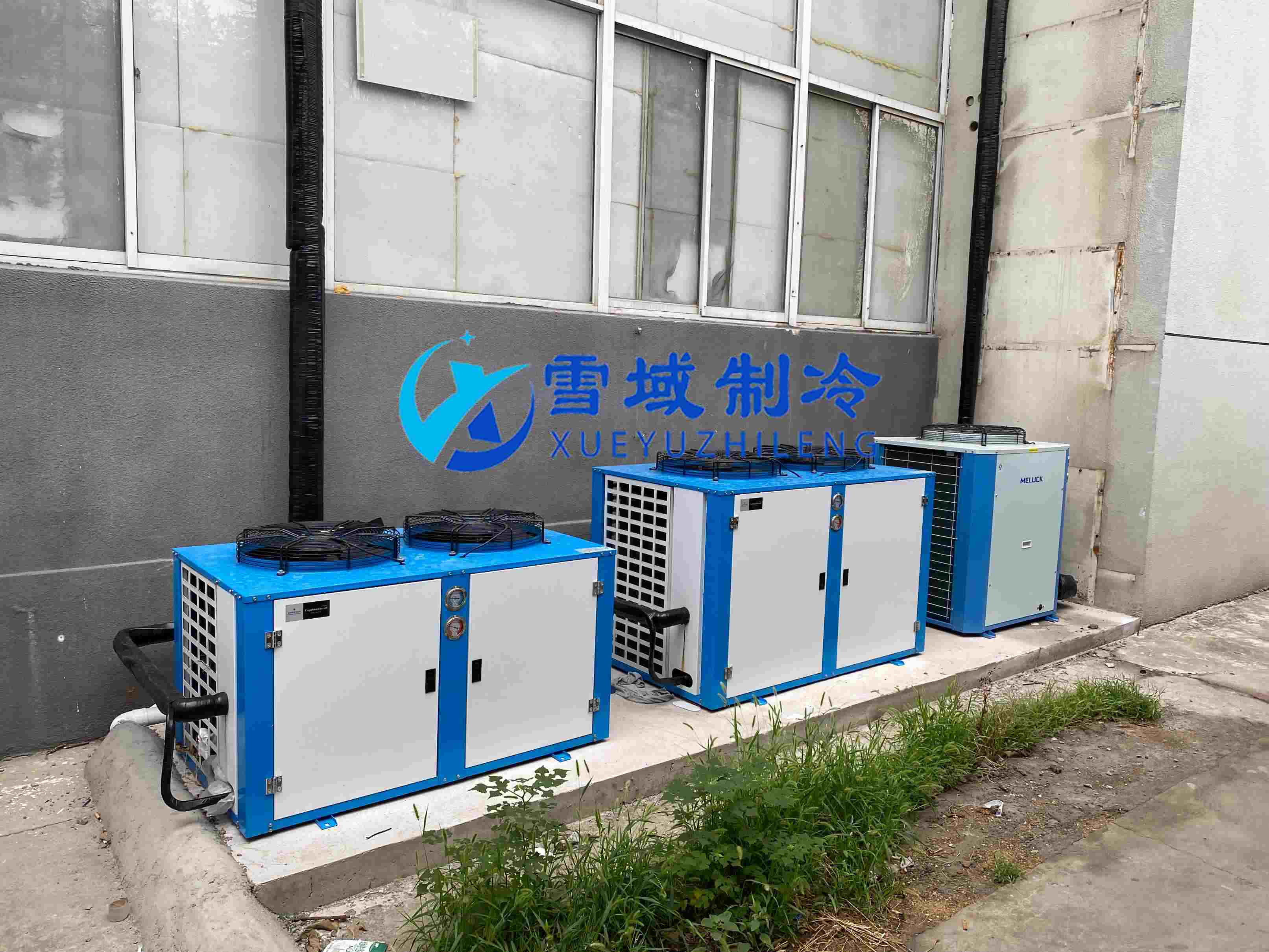 南京江寧速凍乳品冷庫現場圖片 南京江寧速凍乳品冷庫現場圖片