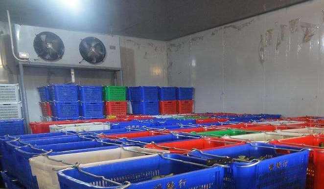 冷庫(kù)設(shè)計(jì)標(biāo)準(zhǔn)的相關(guān)規(guī)范