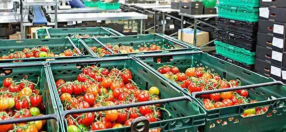 建1000平方米番茄氣調保鮮冷庫造價多少錢 建1000平方米番茄氣調保鮮冷庫造價多少錢