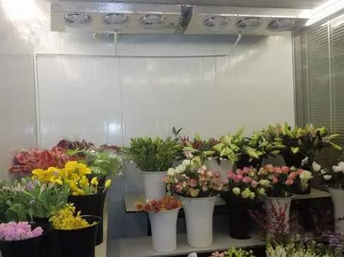 安裝一個花店冷庫大約需要多少錢 安裝一個花店冷庫大約需要多少錢