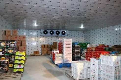 氣調保鮮庫造價多少一平 氣調保鮮庫造價多少一平