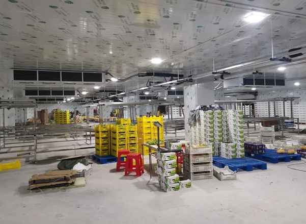 蔬菜冷庫建設設計規范要求 蔬菜冷庫建設設計規范要求