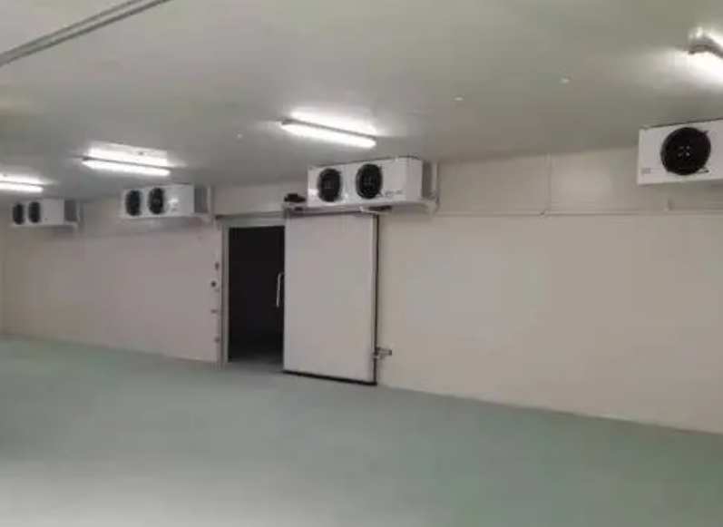 豆角在冷庫里能儲存多長時(shí)間 豆角在冷庫里能儲存多長時(shí)間