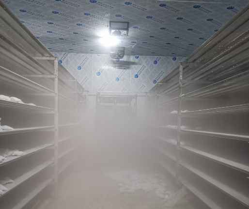 低溫速凍冷藏冷庫設(shè)計方案 低溫速凍冷藏冷庫設(shè)計方案