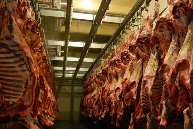 排酸冷庫與冷庫的不同之處 排酸冷庫與冷庫的不同之處