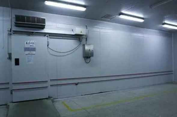 對蝦放進冷庫儲存一般多久 對蝦放進冷庫儲存一般多久