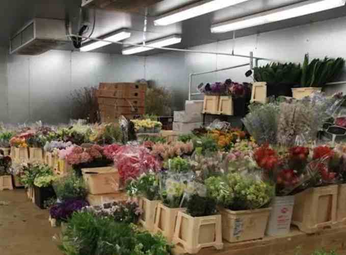冷庫鮮花保存時間長的方法 冷庫鮮花保存時間長的方法