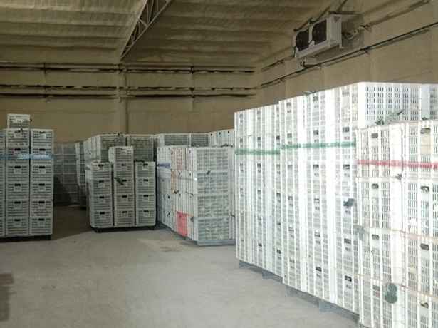 冷庫設計的基本原則和要求 冷庫設計的基本原則和要求