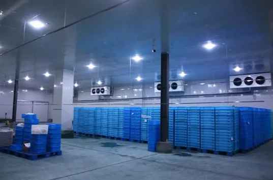 南京冷庫維保公司怎么選 南京冷庫維保公司怎么選