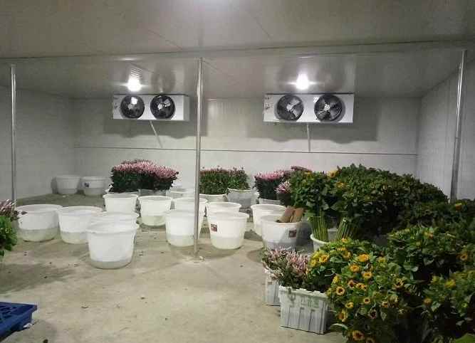 冷庫維修時需要注意什么 冷庫維修時需要注意什么