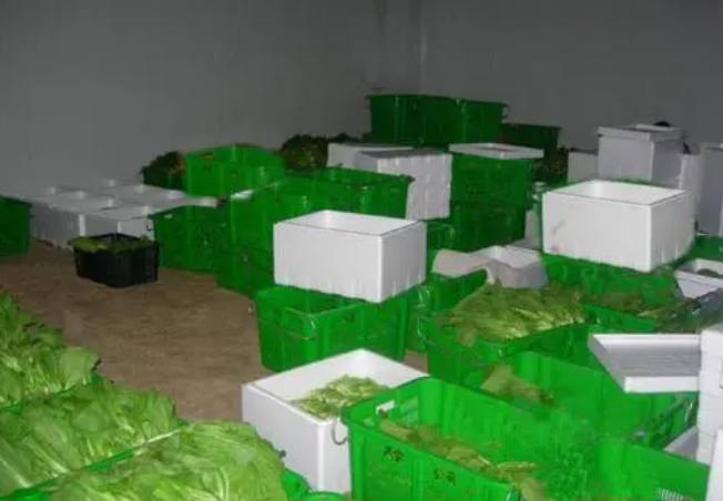 青菜在保鮮庫(kù)能保存多久 青菜在保鮮庫(kù)能保存多久