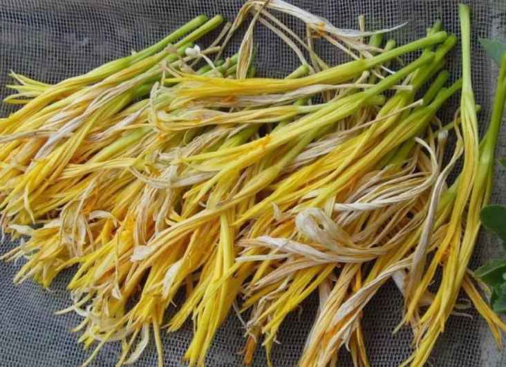 黃花菜冷庫存儲溫度大概多少度 黃花菜冷庫存儲溫度大概多少度