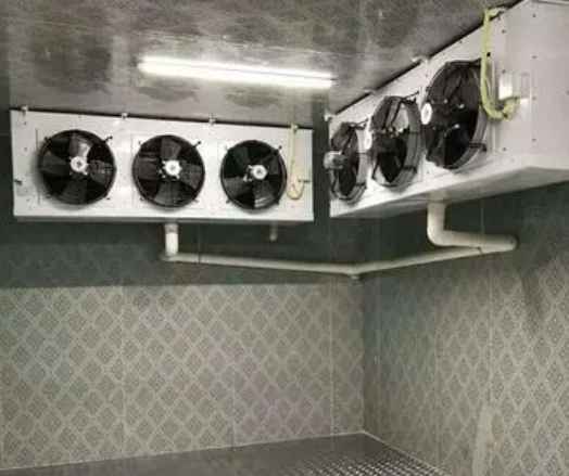 建一個50平米橘子冷庫要多少錢 建一個50平米橘子冷庫要多少錢