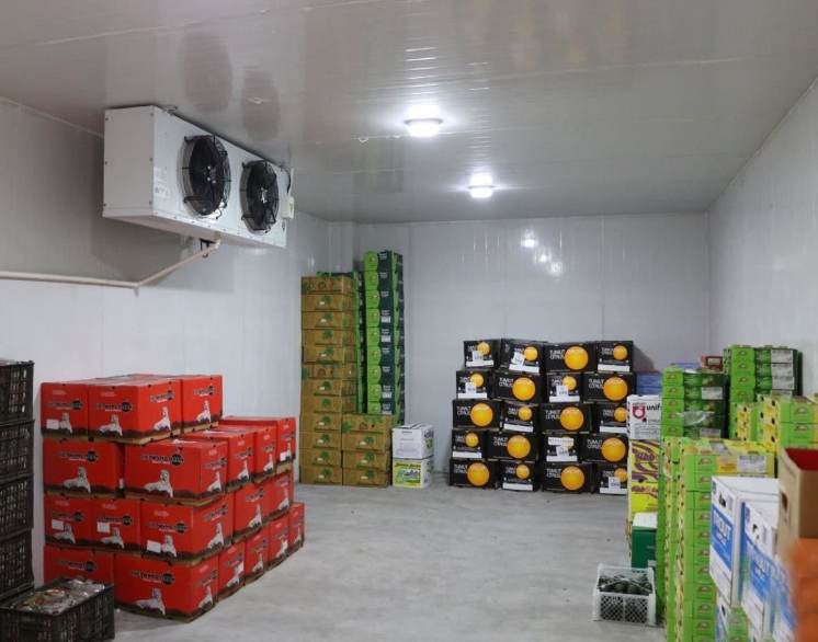 冷庫水果蔬菜保鮮溫度多少度 冷庫水果蔬菜保鮮溫度多少度