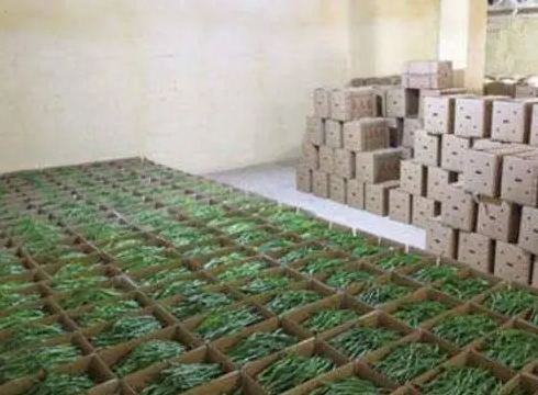 地下冷庫建設投資預算價格多少錢 地下冷庫建設投資預算價格多少錢