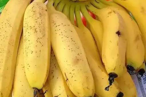 建一個兩千平方芝麻蕉冷庫得多少錢 建一個兩千平方芝麻蕉冷庫得多少錢